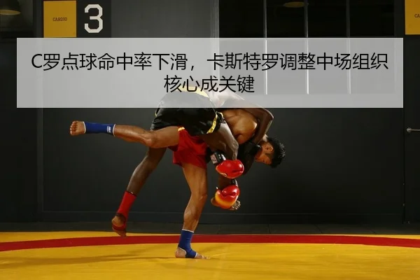 luo-dian-qiu-ming-zhong-lv-xia-hua-ka-si-te-luo-tiao-zheng-zhong-chang-zu-zhi-he-xin-cheng-guan-jian-2-383.jpg